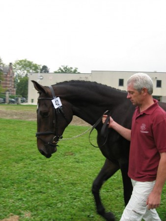 Johan Pierco